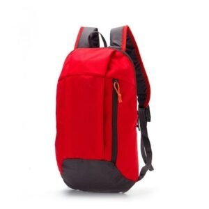 Red and Grey School Bag