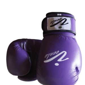 Boxing Glove