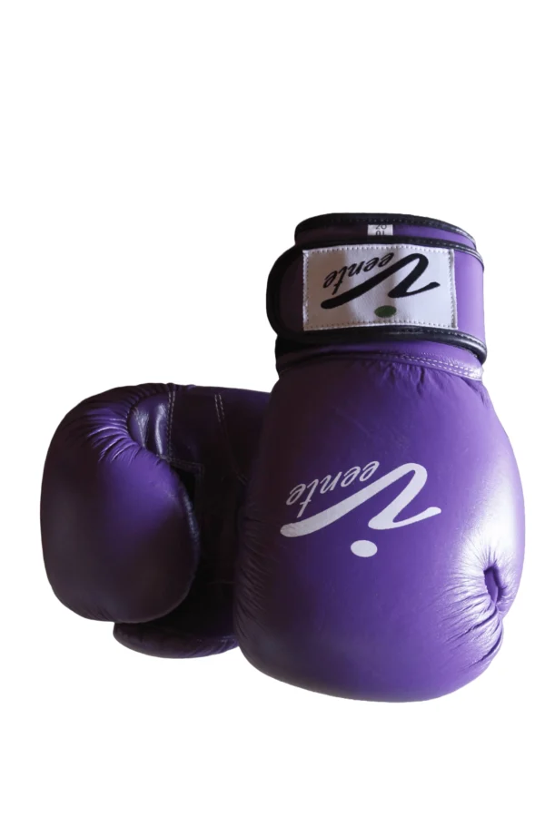 Boxing Glove