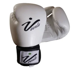 Boxing Glove