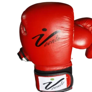 Boxing Glove