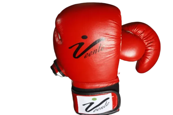 Boxing Glove