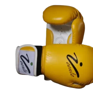 Boxing Glove